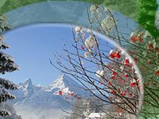 Ferienwohnungen in Marktschellenberg - Lastminute in Hotels, Gasth�fe, G�steh�user, Privatquartiere und Fewos